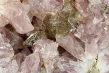 Sparkly, Pink Amethyst Geode (Half) - Argentina #147947-1